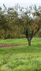 artuma1509-rs-p09.jpg