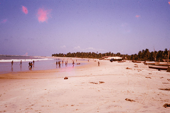 artuma202510_37-1.jpg artuma202510_37-1.jpg
