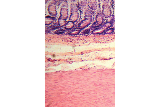 artuma202504_rs_36.jpg artuma202504_rs_36.jpg