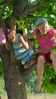 artuma200807 8 rs p46