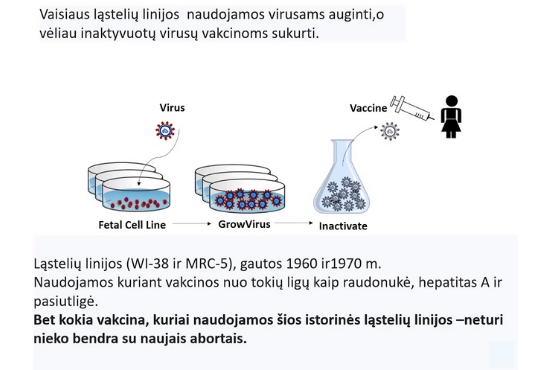 Be pavadinimo kopija